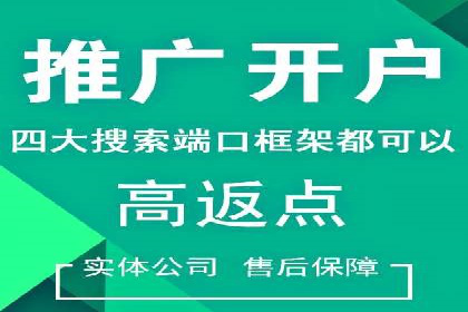SEM竞价代运营公司案例实战指南